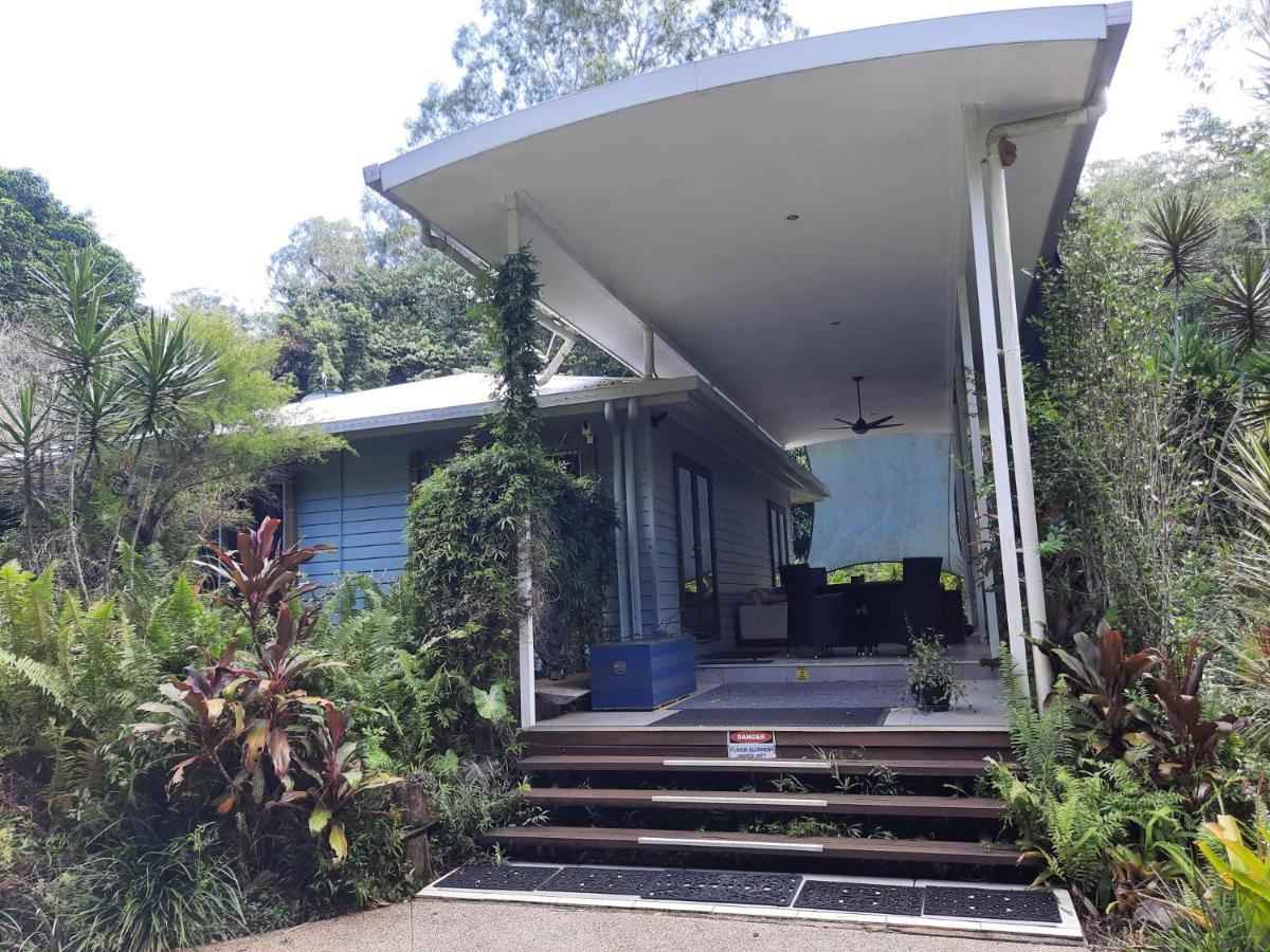 Daintree Rainforest Accommodation Cow Bay Exterior foto