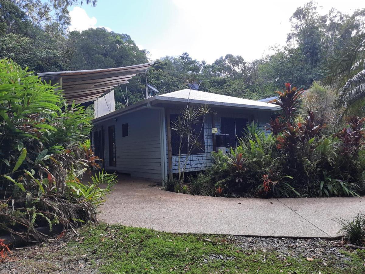Daintree Rainforest Accommodation Cow Bay Exterior foto